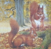 0096 Eichhörnchen Squirrel Serviette
