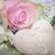 5393 Blumen Rose Serviette