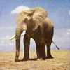 6536 Elefant Serviette