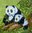 7164 Panda Serviette