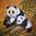 7251 Panda Serviette