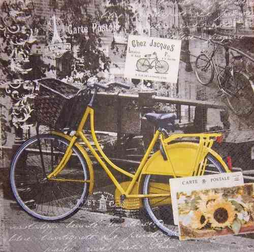 7314 Bike Serviette