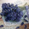 9578 Lavendel Serviette
