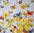 10803 Schmetterlinge Serviette