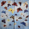 10855 Butterflies light blue Serviette