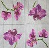 11026 Single Orchid Serviette