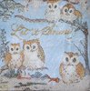 11065 Owls Serviette