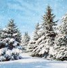 11233 Trees in Snow Serviette
