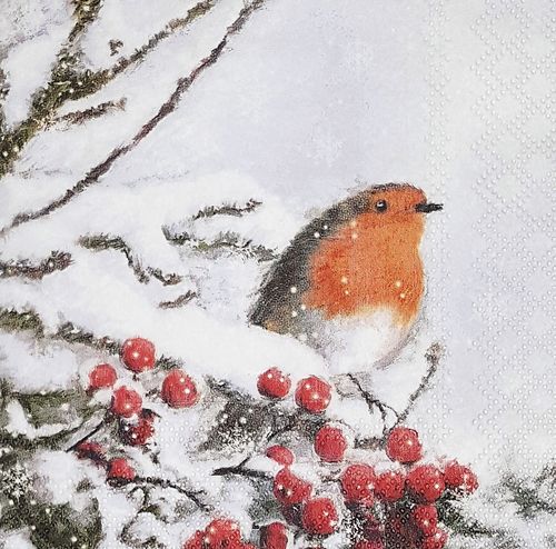 11424 Robin in Snow Serviette