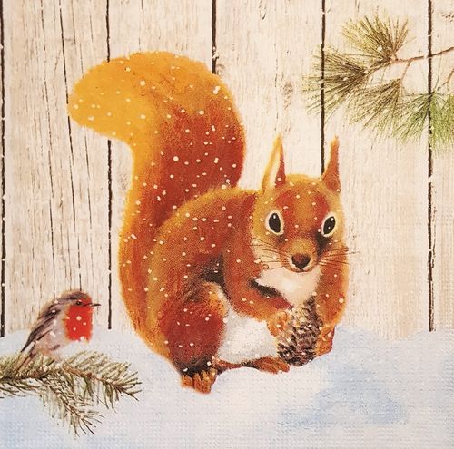 11452 Robin & Squirrel Serviette
