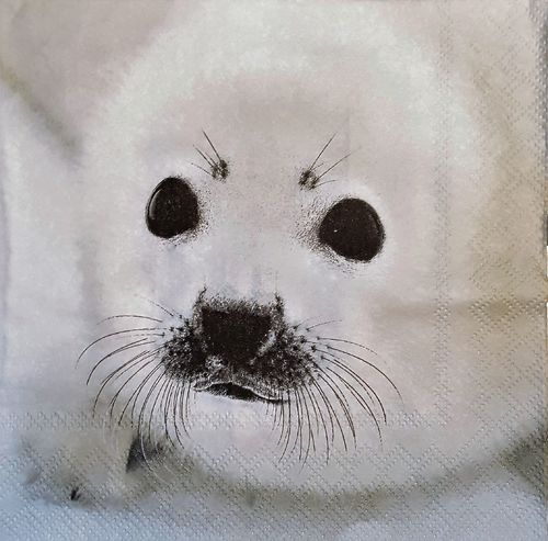 11461 Baby Seal Serviette