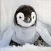 11462 Baby Penguin Serviette