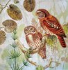 11628 Pair of Owls Serviette
