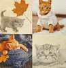 11657 Autumn Cats Serviette