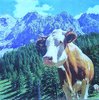 11682 Alpen Kuh Serviette
