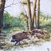 11794 Wild Boars in the Woods Serviette