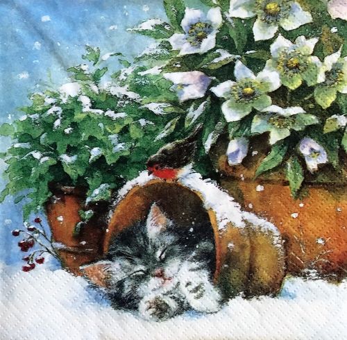 12041 Kitten sleeping in Plant Pot Serviette