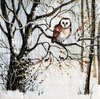 12046 Winter Owl Serviette