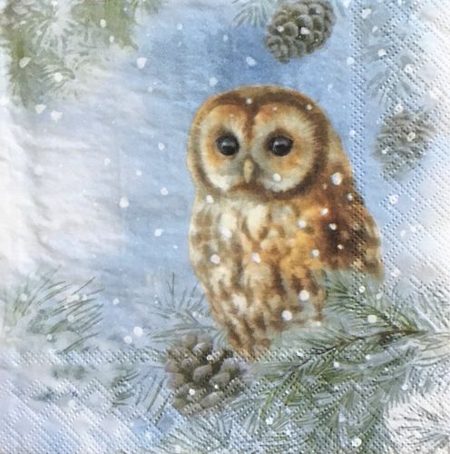 12079 Tawny Owl Serviette