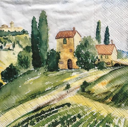 12232 Tuscany Watercolor Serviette