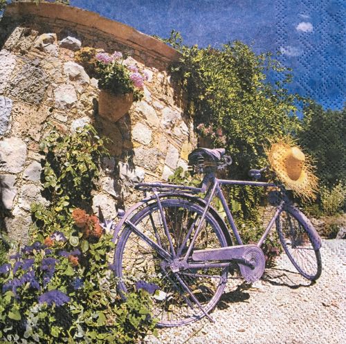 12243 Bike in Provence Serviette