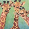 12354 Giraffe Amigos Serviette