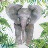 12433 Tropical Elephant Serviette