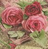 12733 Sentimental Roses Serviette